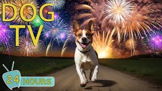 DOG TV July 4th - Best Video Entertain to Help Dogs No Anxiety from Fireworks Bangs and Loud Noise