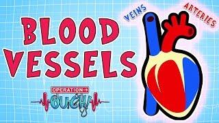 Operation Ouch - Blood Vessels  Science for Kids