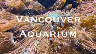 Vancouver Aquarium  Vancouver  Canada