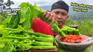 MUKBANG LALAPAN BATANG PEPAYA MENTAH TANPA NASI - SAMBAL NYA PEDAS MANTAP