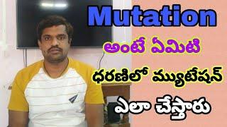 #Mutation. Meaning of mutation in telugu dharani  mutation process mnchary creations