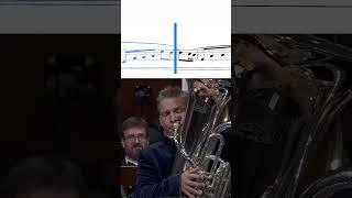 The Most Orchestral Tuba Sound But Used as a Soloist  Perry Hoogendijk plays The Overton Window