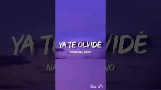 Ya Te Olvidé - Natanael Cano LetraEnglish Lyrics