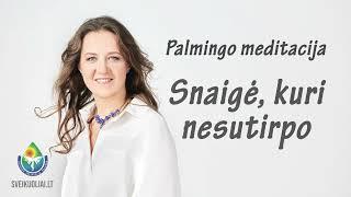 Palmingo meditacija - Snaigė kuri nesutirpo