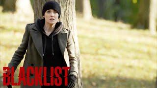 The Blacklist  Reddington Shoots Lizs Mother