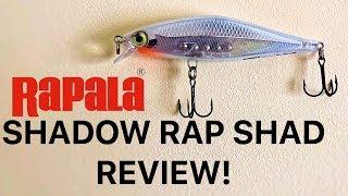 Rapala Shadow Rap Shad review perch lure challenge EP.1