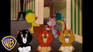 Tom y Jerry en Latino  ¡Los animalitos más lindos    @WBKidsLatino