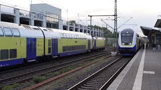 Zwei Metronome fahren in die gleiche Richtung aus dem Bahnhof Winsen raus.