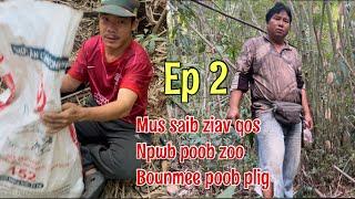 Npwb poob zoo Bounmee poob plig 22022023