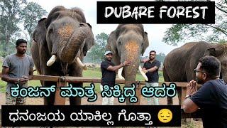 ದುಬಾರೆ elephant camp ಧನಂಜಯ ಆನೆ ಎನಿಕ್ಕಿಲ್ಲ ಗೊತ್ತಾ#Dubareforest#viralvideo