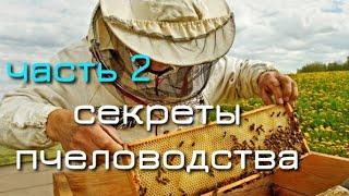 2-я часть СЕКРЕТЫ ПЧЕЛОВОДСТВА И ЧТО ДОЛЖЕН ЗНАТЬ КАЖДЫЙ ПЧЕЛОВОД КОТОРЫЙ ХОЧЕТ ДОБИТЬСЯ УСПЕХА