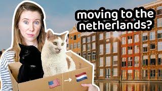 HOW TO PREPARE TO MOVE TO THE NETHERLANDS  american expats in holland