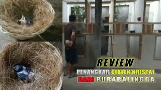 REVIEW  kandang ternak CIBLEK KRISTAL dari PURBALINGGA