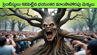 Carnivorous Plants That Eat Animals  facts in telugu  telugu facts  interesting facts in telugu