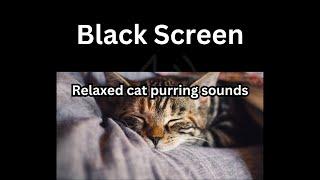 Black Screen  Sleeping Sound - 8h white noise cat purring