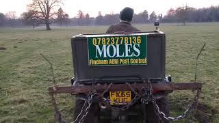 Mole trapping fincham Agri pest control