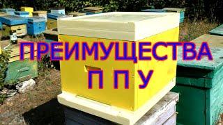 ПРЕИМУЩЕСТВА и НЕДОСТАТКИ улья ППУ.