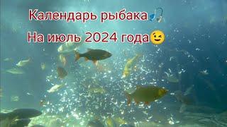 Календарь рыбака - лунный календарь рыболова на июль 2024 года