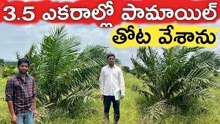 90 శాతం సబ్సిడీతో ఆయిల్ పామ్ వేశాను  Oil Palm  రైతు బడి