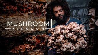 Cultivating Gourmet and Medicinal Mushrooms  PARAGRAPHIC