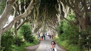 The Dark Hedges Northern Ireland