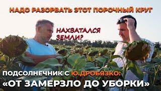 Меньше двух тонн подсолнечника не получал даже в Крыму. Технология выращивания от Ю. Дробязко