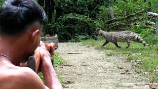 Full video  5 days of hunting wild weasel monitor lizards bats mice and wild birds