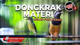  Dongkrak Materi Gacoan️ Masteran Cucak Cungkok Gacor vs Kolibri Manggar Betina Gacor️