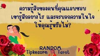 ️ความรู้สึกของคนที่คุณแอบชอบ เขารู้สึกอย่างไรกับคุณและบอกให้คุณรู้หรือไม่?#tarot #ดูดวง #soulmate