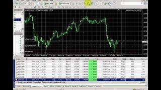 Auto profit Robot EA live Trading  Download