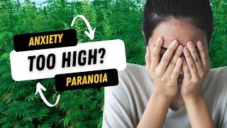 Too High?  Here are some tips to reduce anxiety and paranoia from too much THC