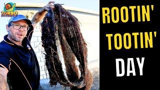 Blocked Drain 492 Could This Be The World Record Root Extraction? #rootexttaction