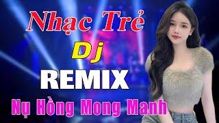 Nụ Hồng Mong Manh REMIX BASS CĂNG - TOP BÀI HÁT REMIX HAY NHẤT HIỆN NAY - NHẠC HOA LỜI VIỆT REMIX