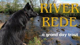 Wild Trout Fishing Northumberland