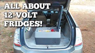 Everything you need to know about 12-VOLT FRIDGES Cheap vs expensive how to use tips & tricks