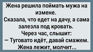 Как Жена Под Кроватью Измену Слушала Сборник Свежих Анекдотов Юмор