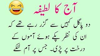 Do Pagal  Aj Ka Lateefa  Funny Urdu Jokes  Lateefay  Hindi Jokes   Latifa  Jokes  Lateefa Hub