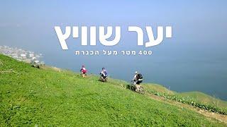 סינגל יער שוויץ פוריה