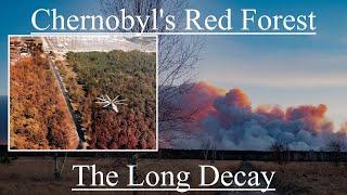 Chernobyls Red Forest The Long Decay