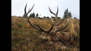 Hirschjagd in den Karpaten 2018 - Red stag hunting in the Carpathian Mountains 2018
