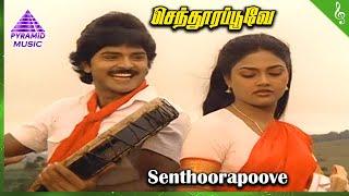 Senthoora Poove Movie Songs  Senthoora Poove Video Song  Ramki  Nirosha  Vijayakanth  Sripriya