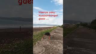 workout dengan view pulau Nusakambangan #workout #running #shortvideo