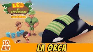 La Orca Español - Leo El Explorador Episodio Completo  Animación - Familia - Niños