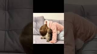 Baby cat with baby playing #catsLol