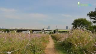 양화한강공원  YANGHWA HAN RIVER PARK