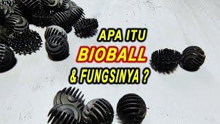 APA ITU BIOBALL DAN FUNGSINYA