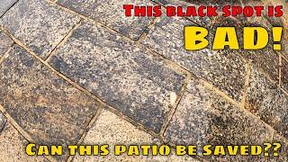 Probably The WORST BLACK SPOT Ive Seen On An Indian Sandstone Patio EVER. Can I Remove it??