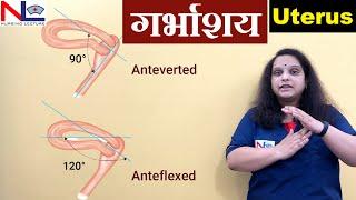 Uterus in Hindi  Female Reproductive System  Nursing Lecture