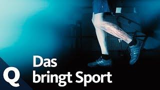 Wundermittel Sport Körper Geist und Gene profitieren von Bewegung  Quarks