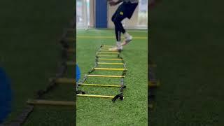 Maintaining Fundamentals with Agility Ladder